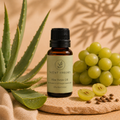 Aloe Ferox Oil (Infused in CP Grape Seed Oil) (25g Aloe Ferox)