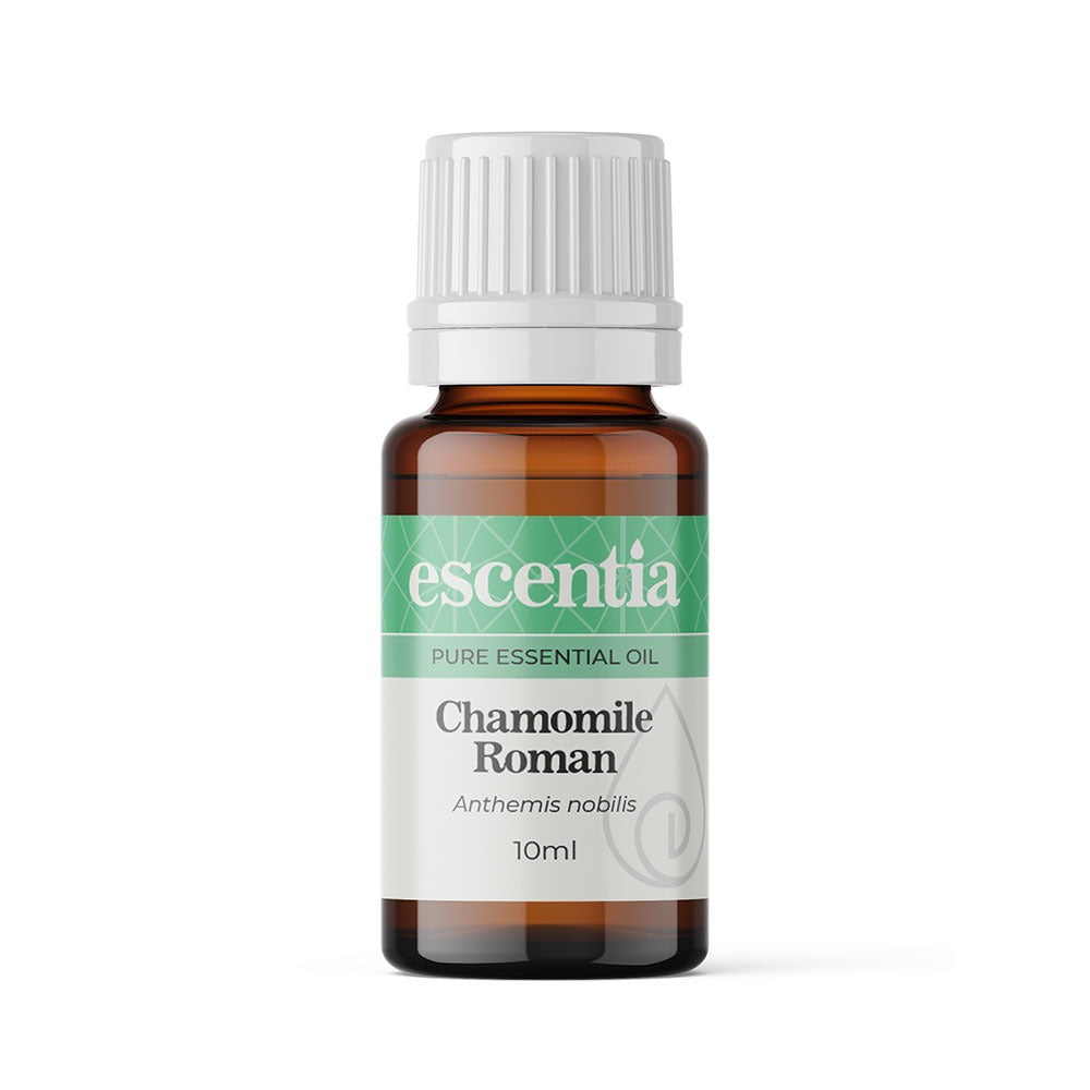 Chamomile (Camomile) Roman Standard Oil (Escentia)