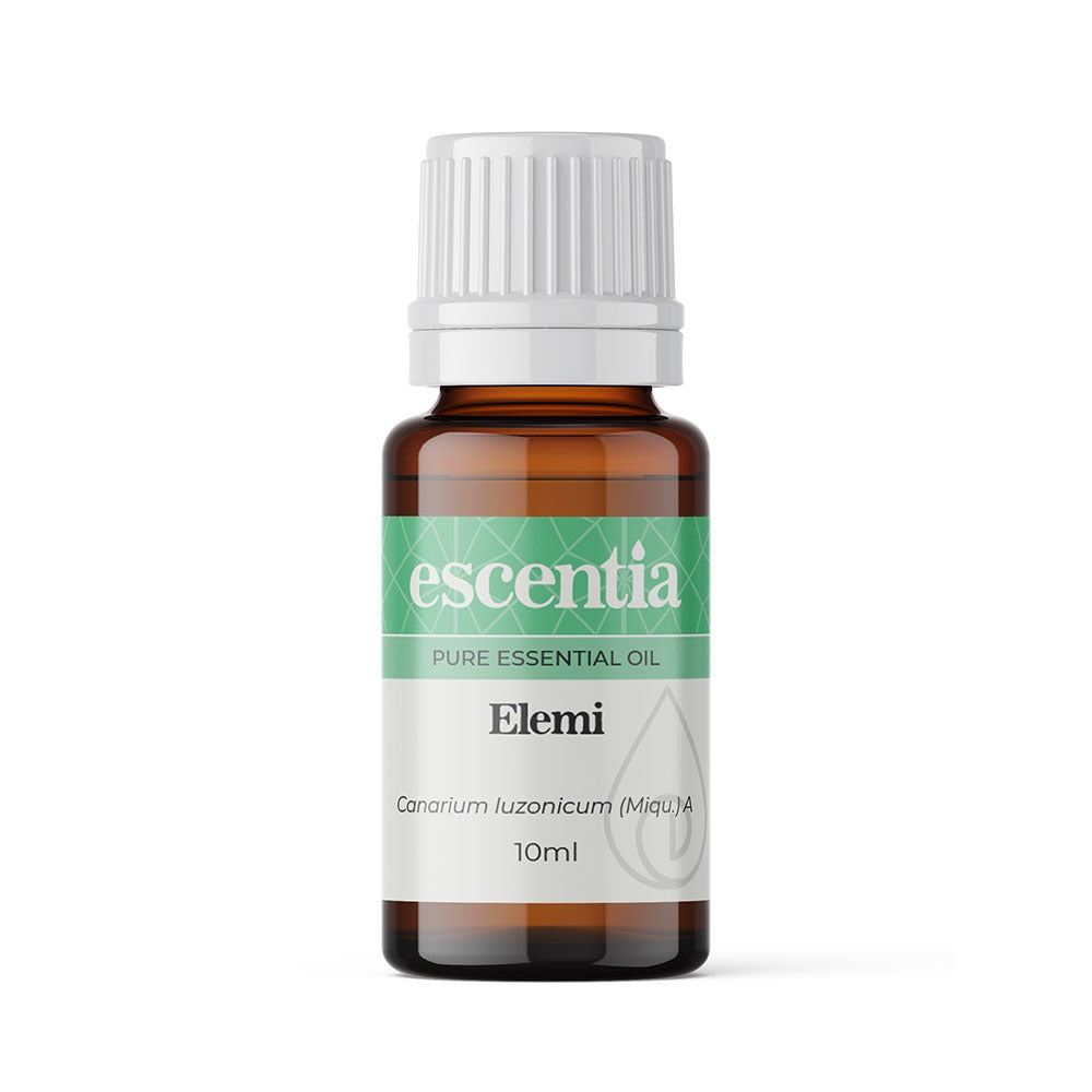 Elemi Essential Oil Canarium Luzonicum (Miqu.) A (Escentia)