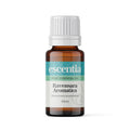 Ravinsara Aromatica Essential Oil Ravensara Aromatica (Escentia)