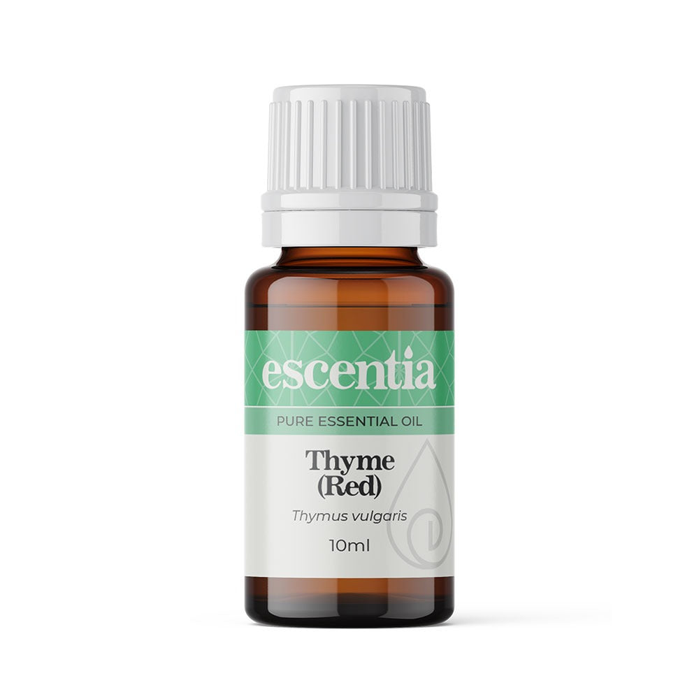 Thyme (Red) Essential Oil Thymus Vulgaris (Escentia)