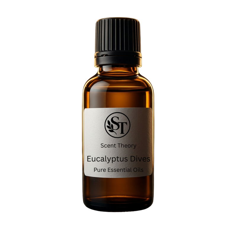 Eucalyptus Dives Pure Essential Oil
