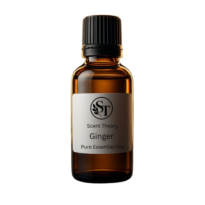 Ginger Pure Essential Oil